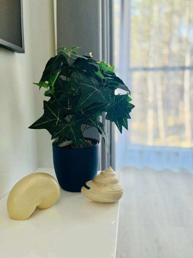 Ho!House Shellter Rogowo Apartman Rogowo  Kültér fotó